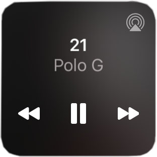 polo g 21 song