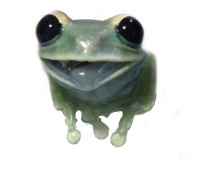 frog frogsticker sticker cute froggy freetoedit