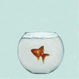 fish aesthetic glitter diamonds goldfish fishbowl bowl freetoedit