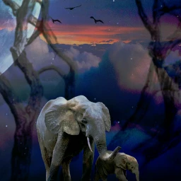 freetoedit jungle forest elephant sky ecintheclouds