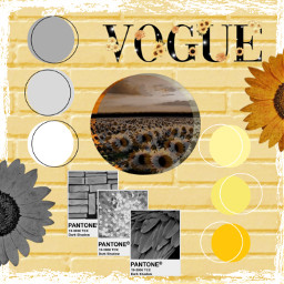yellow grey blackandwhite aesthetic sunflower vogue sunset polaroids freetoedit rccolorsoftheyear colorsoftheyear
