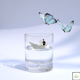 butterfly paperboat glass water zachherron freetoedit ircglassofwater glassofwater