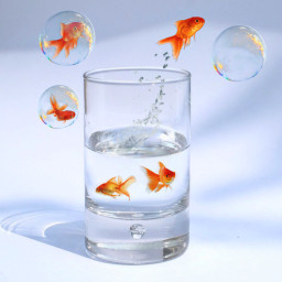 strange goldfish bubbles bubble glass freetoedit ircglassofwater glassofwater