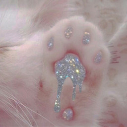 cat paws glitter cute soft srcglitterdripart glitterdripart