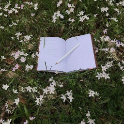 hufflepuff cottagecore fairycore aesthetic flowers book diary