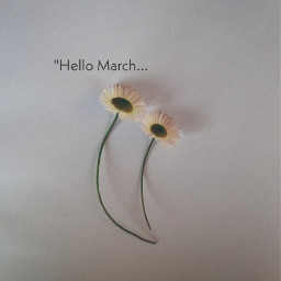 march flower freetoedit