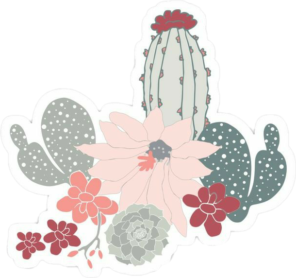 cactus aesthetic freetoedit cactus sticker by manelchirin