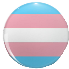 trans transgender transpride transflag transpin freetoedit