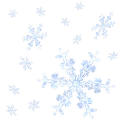 snowflakes winter ftesticker texts png overlays overlay niche editneeds stickers givecreds shapeedit pngoverlay editinghelp aestheticsticker complex iconsticker iconhelp icons edithelp pngs textoverlay complexedit moodboard premades freetoedit