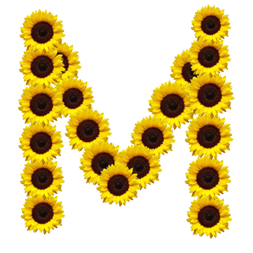 freetoedit letra m girasol girasoles sticker by @zeezii88