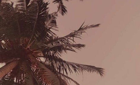 Picsart banner for @notions