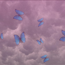 butterflies clouds shinebright freetoedit