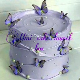 cake art birthday interesting lunchbox