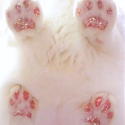 cute cat challenge kpop halliwood white pink anime glitter new follow fanart summer angel soft cutecat freetoedit srcglitterpaintstroke glitterpaintstroke