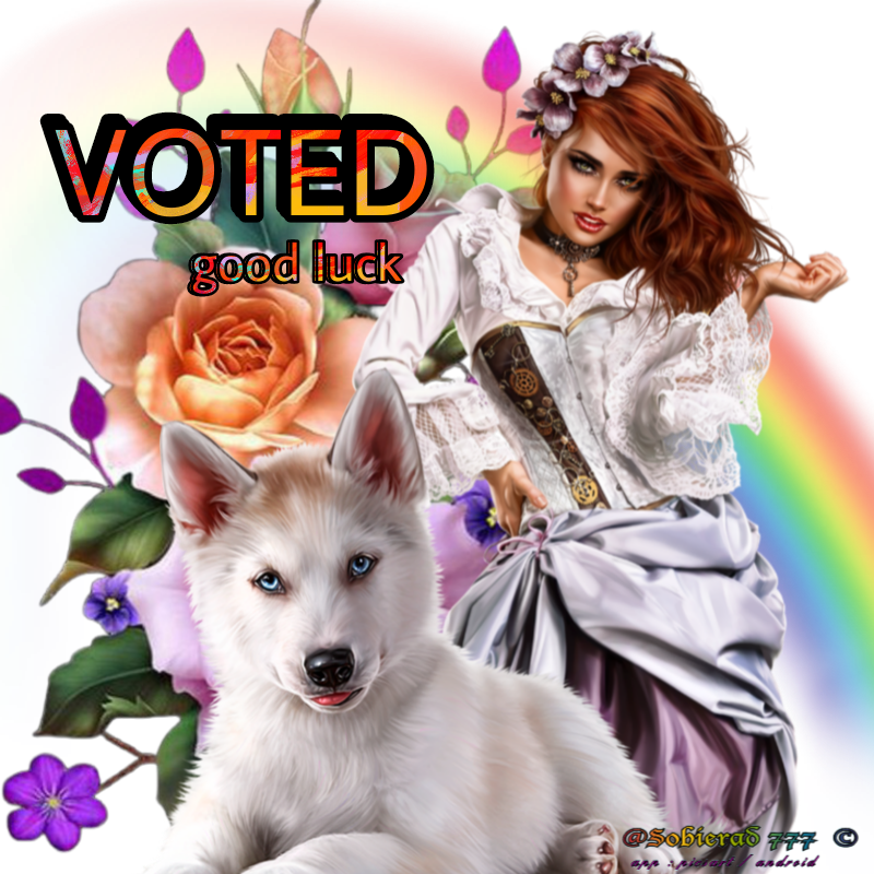 voted sticker freetoedit sticker by sobierad777