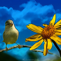 freetoedit nature bird flower yellowflower paintingeffect