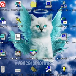 cat sky pet cute srcwindowsscreen windowsscreen freetoedit