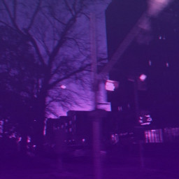 purple purpleaesthetic night dark light trees tree street streets buildings building cars freetoedit