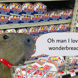 wonderbread capybara hahaha wonderbreadman wonderbreadguy shopping funnyguy freetoedit