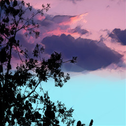 freetoedit art picsart clouds trees cool purple blue black artist sky