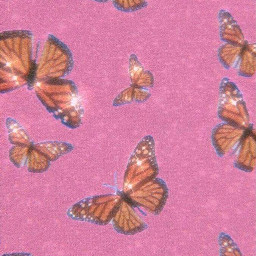 aesthetic background pink butterflies remix y2k y2kaesthetic