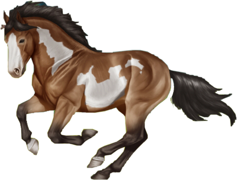 horsereality freetoedit sticker by @horserealitybaners