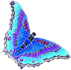 butterfly blue bluebutterfly freetoedit