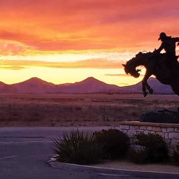 sunset cowboy