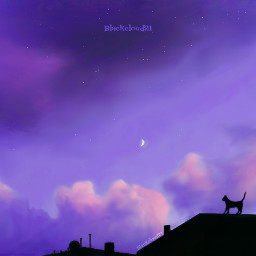 myphotografy madewithpicsart madebyme myedit magical stars cat clouds purple night
