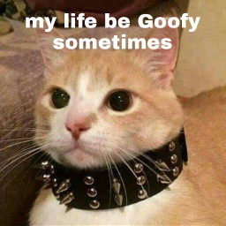cat spikes goofy kitty alt gothcore gothic kitten freetoedit