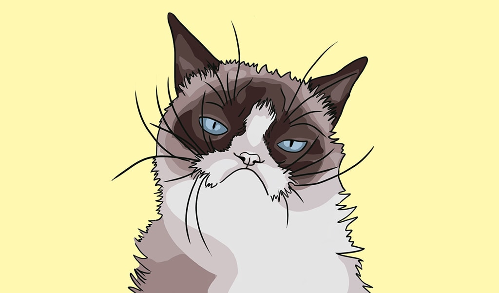 Grumpy Cat Draw Challenge on PicsArt
