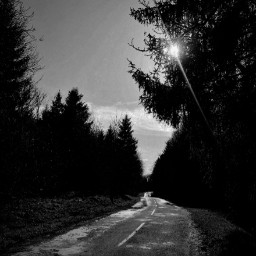 blackandwhite theway myphotography outdoor lensflare myview freetoedit