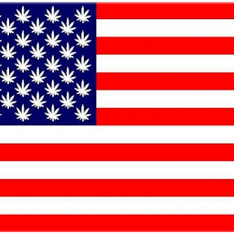 usa flag weed pot america