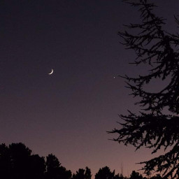 myphoto newzealand silhouette moon nightsky photography freetoedit