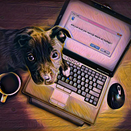 ordenador perro taza memsaje ventana mesa colores filtros dibujo freetoedit srcdeletefolder deletefolder