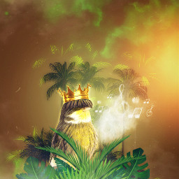 srckingsandqueens kingsandqueens clouds canary bird song trills tropical palm trees leaves king fantasy surreal magical creative heypicsart makeawesome aesthetic madewithpicsart surrealism imagination picsarteffects colorfull freetoedit