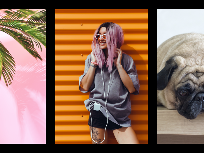 Palm purple hair happy girl and dog photo collage