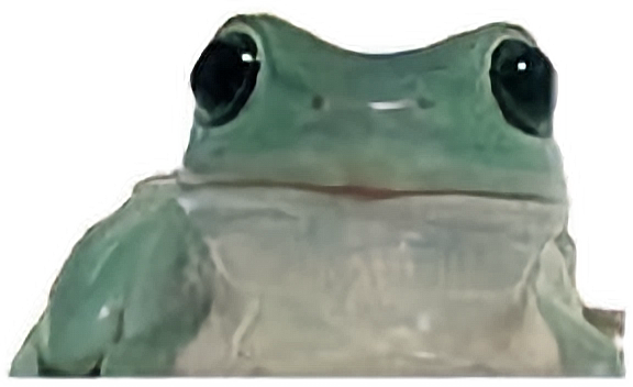 freetoedit frog phrog doritophrog sticker by @doritophrog
