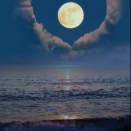 paisagem natureza praia beach nature landscape mar sea oceano lua ceu moon luar luacheia noite night freetoedit