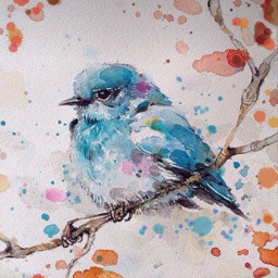 bird blue watercolor freehand