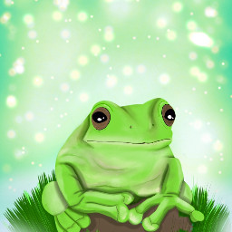 art draw myart frog cute digitalart