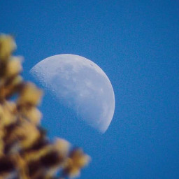 moon moonlovers nature skylover photography newzealand freetoedit