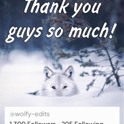 freetoedit wolf 1300followers thankyou thankyoufor1300followerssss thankyouforfollowingme awooooooo pawesome