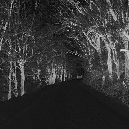 black dark nature outdoors countryroad woods forest trees path road landscape mountains color scary horror creepy bloody gore halloween surrealism remixit portrait picoftheday picsartedit fantasy