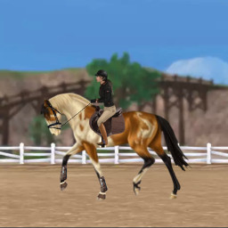 freetoedit equestrian dressage horse horseriding horsejumping sso starstable