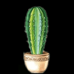 gif cactus kaktus cactusflower happy makehimhappy kawaii cute aww growing sticker remixit lifeisbeautiful pinkypower pinkypower333 louloucalastical louloucàlastical freetoedit