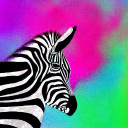 freetoedit zebra ai aigenerated neon colorful rainbowcolors