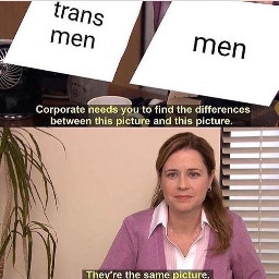 lgbt lgbtq pride trans transgender meme memes