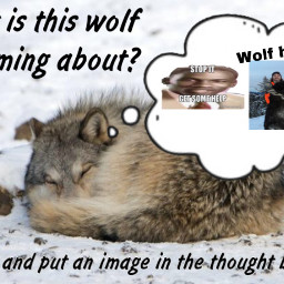freetoedit savewolves