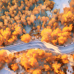 woods road trees autumn art